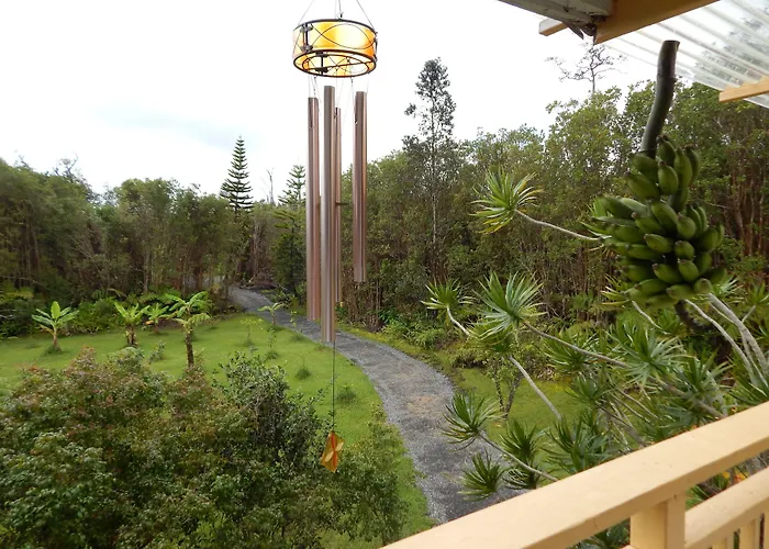 Guest house: Fern Forest Getaway