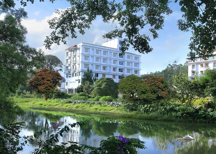 Luxury hotel only: Grand Plaza
