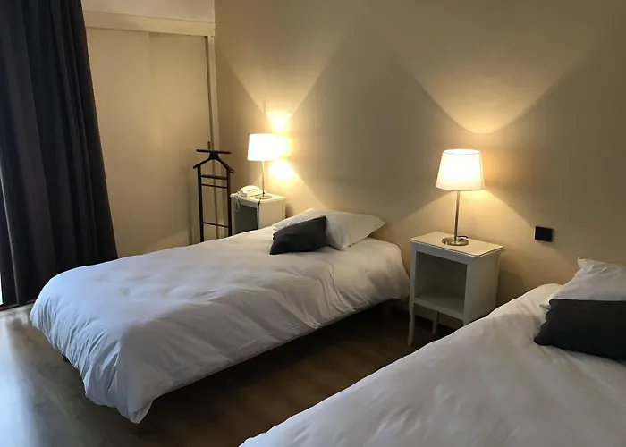 Hôtel accueillant les animaux: Hôtel Pyrène