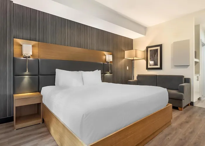 Pet Friendly hotel: Executive Residency By Best Western Calgary City View North
