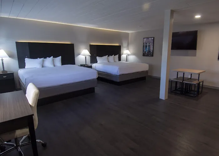 Resort: Americana Modern Hotel