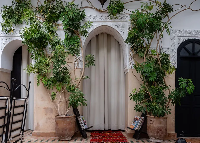 Riad Amegrad