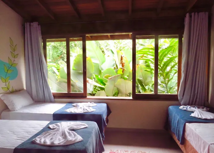 Moksha Surf Yoga
