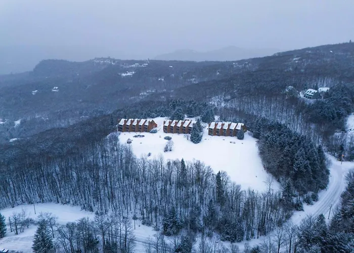 Pet Friendly hotel: Nordic Village Condominium Resort