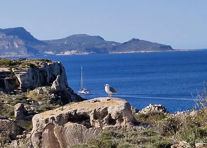 Resort: Miramare Residence