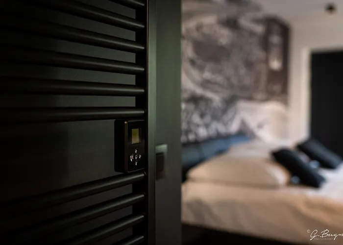 Hôtel accueillant les animaux: La Reine Hôtel, City Centre