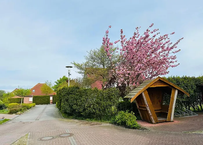Ferienwohnungen mieten "" Strandkorb