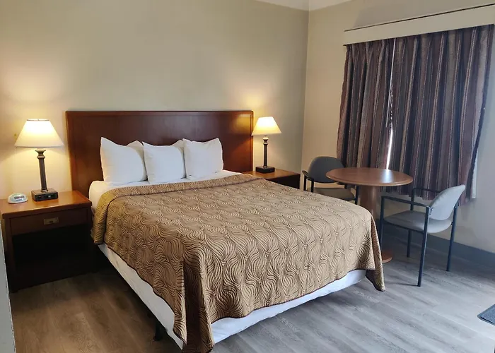Cheap hotels Knights Inn London Ontario