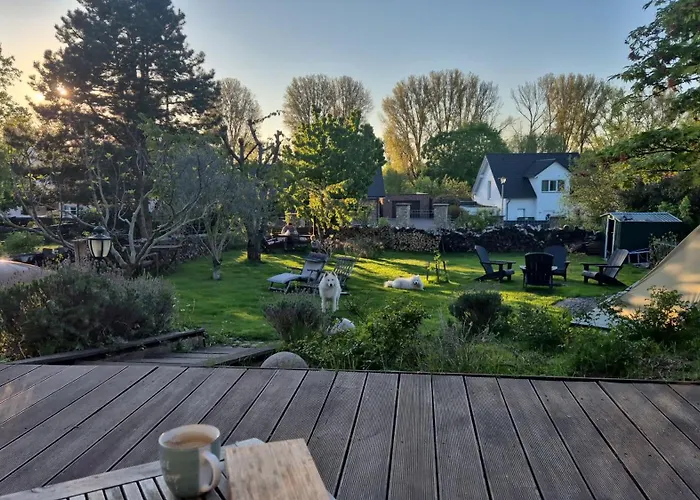 Schönste Lage am Rhein in unmittelbarer Stadtnähe, B&B