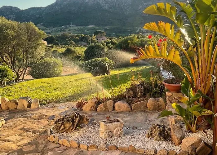  Tenuta Petra Manna