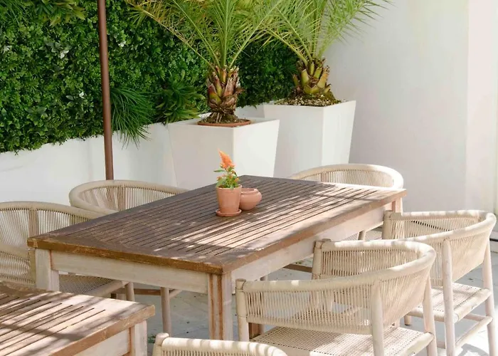 Animaux admis Cézanne Boutique-