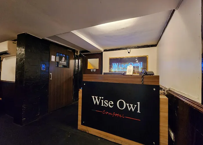 Wise Owl Comfotel