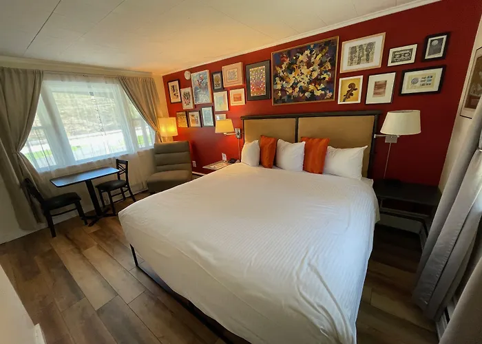 Dog friendly hotels Sleep Woodstock