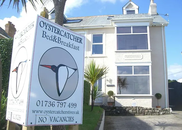 Oystercatcher