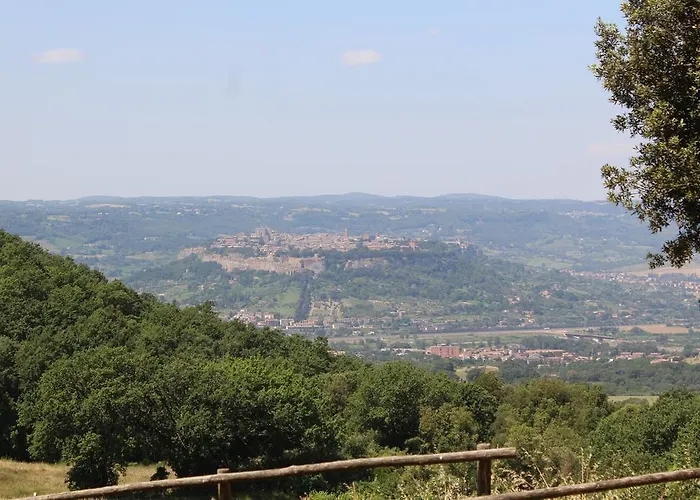 Fattoria Poggio Boalaio