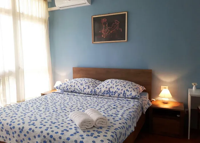 Hôtel accueillant les animaux: Tajc Rooms