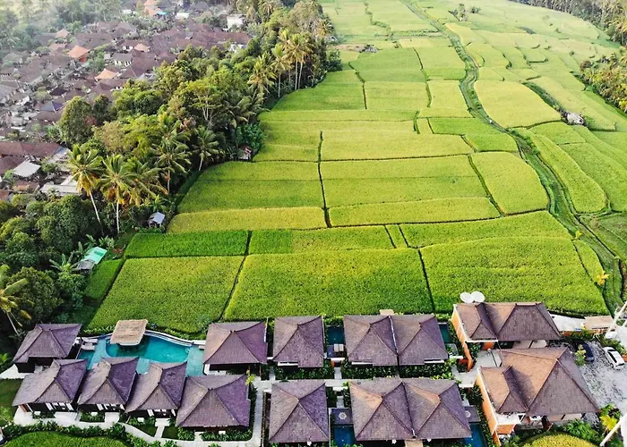 Bungalow rentals Kayangan Ubud